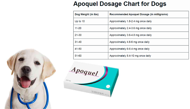 Everything About Apoquel Dosage With Dosing Chart - Home