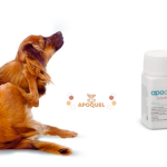 Everything You Need To Know About Apoquel 5.4 mg For Dogs