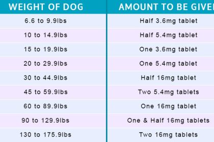 Apoquel Dosage Guide for Itchy Dogs