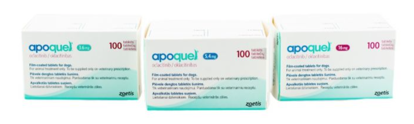 Uses of Apoquel for Various Animals