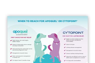 Apoquel and Cytopoint in Action
