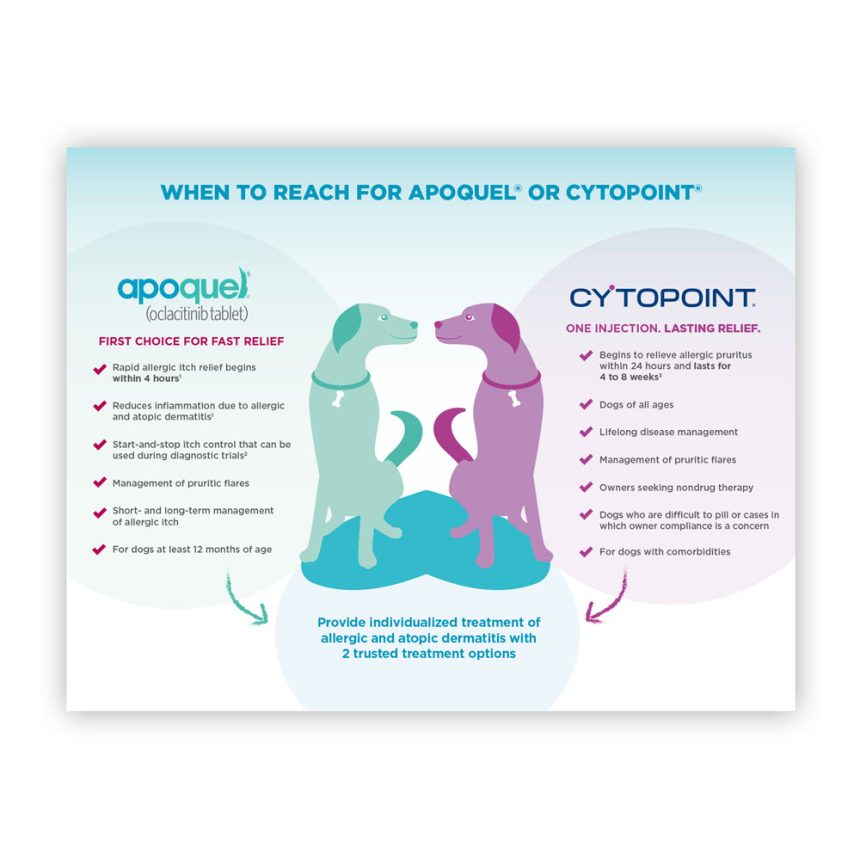 Apoquel and Cytopoint in Action