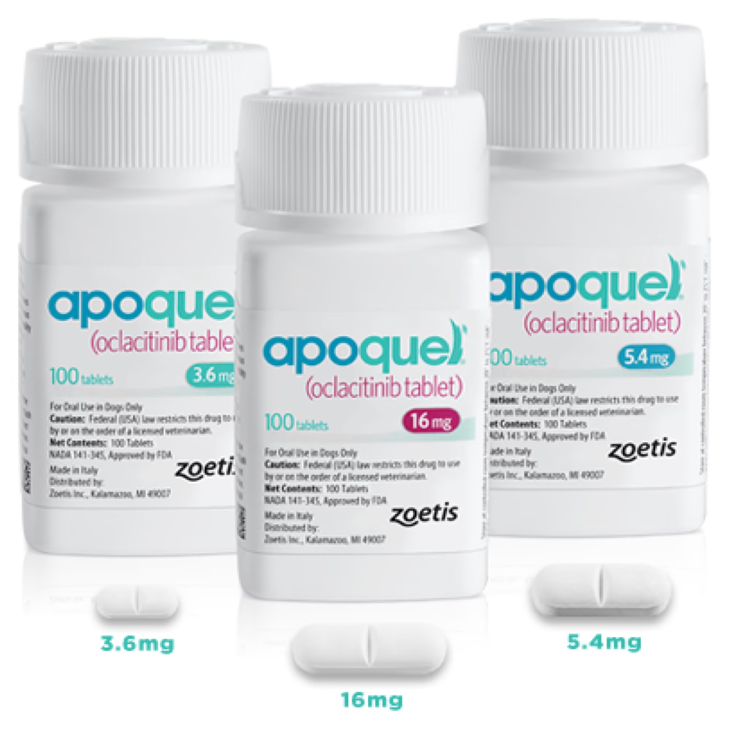 Apoquel Dosage for Chronic Allergies